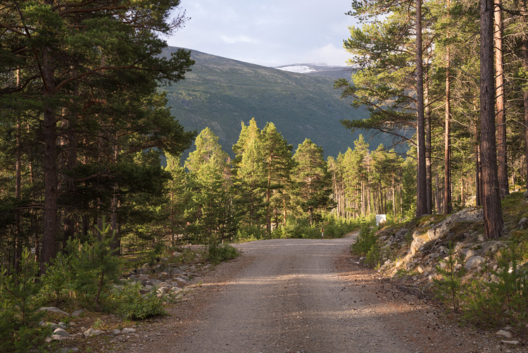 Dirt road in Lundadalen